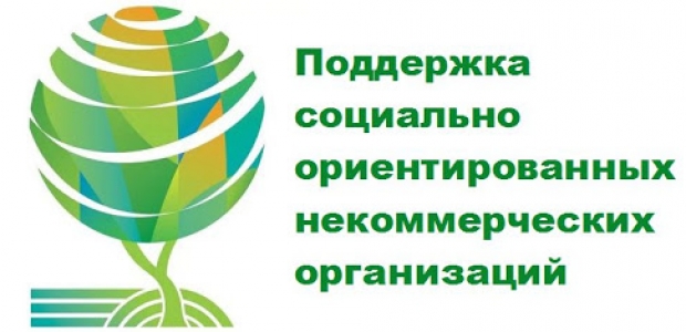 Лучшие социально-ориентированные некоммерческие организаций Омской области получат субсидии в объеме 40 млн. рублей
