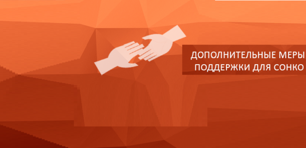 Правительством Российской Федерации установлены дополнительные меры поддержки для СОНКО